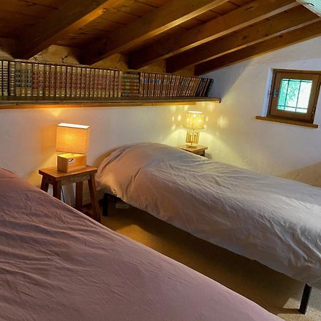 Chalet Erminea 샤모니 외부 사진